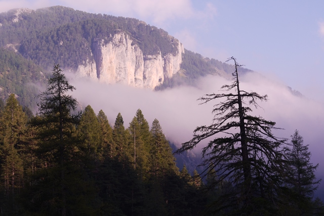 Mid Day Fog Moving In
